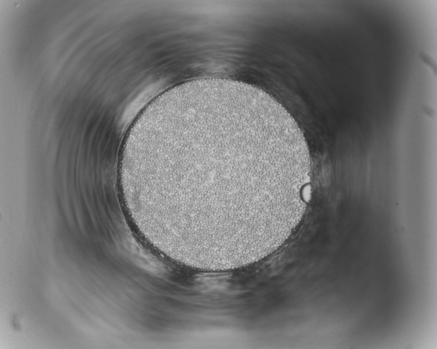 X0000103940051200810171824