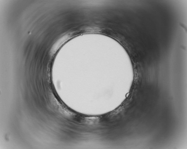 X0000103940053200810171824