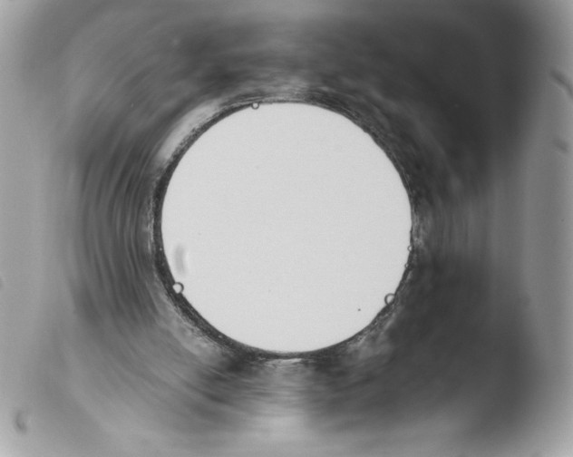 X0000103940054200810171824