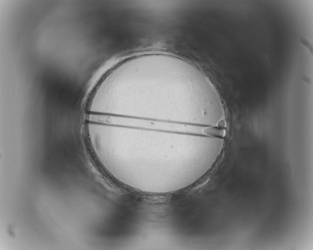 X0000103940056200810171824