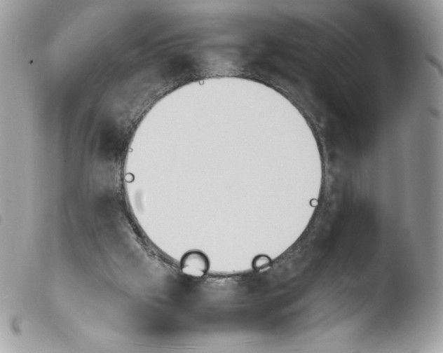 X0000103940057200810171824