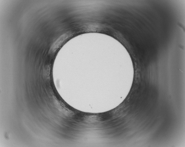 X0000103940058200810171824