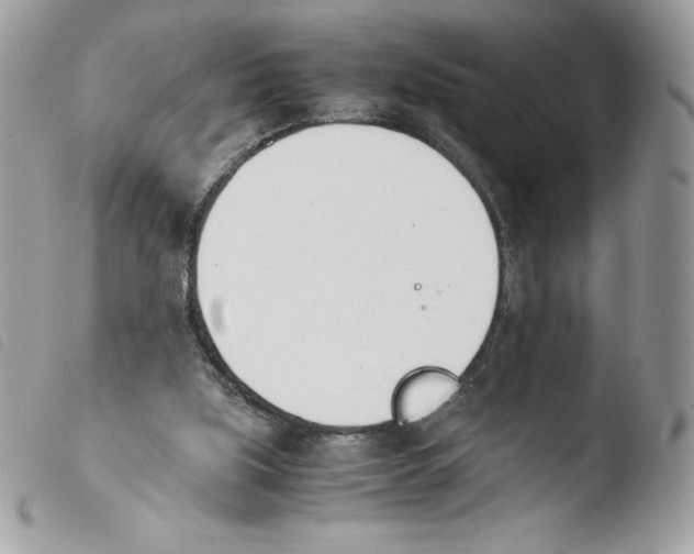 X0000103940059200810171824