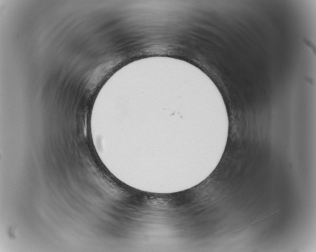 X0000103940062200810171824