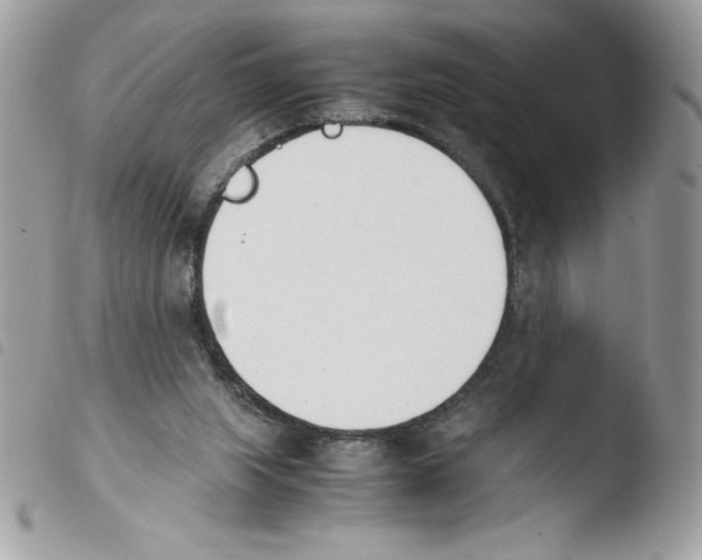 X0000103940063200810171824