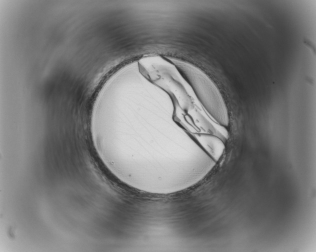 X0000103940064200810171824