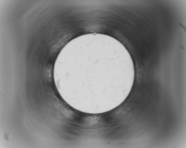 X0000103940065200810171824