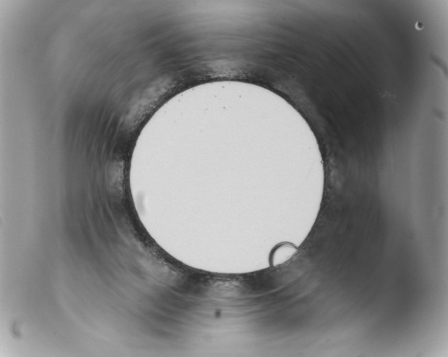 X0000103940066200810171824