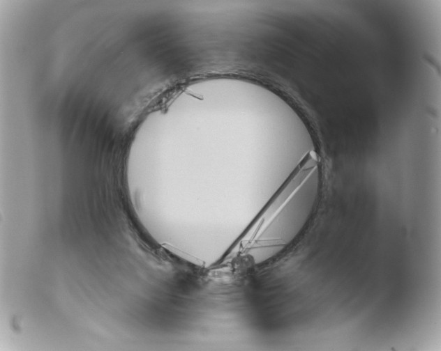 X0000103940068200810171824