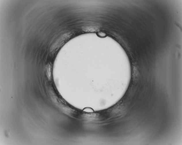 X0000103940069200810171824