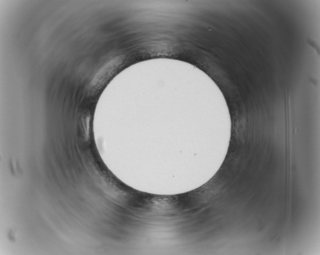 X0000103940070200810171824