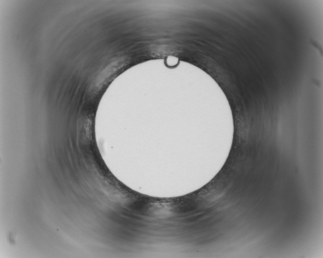 X0000103940071200810171824