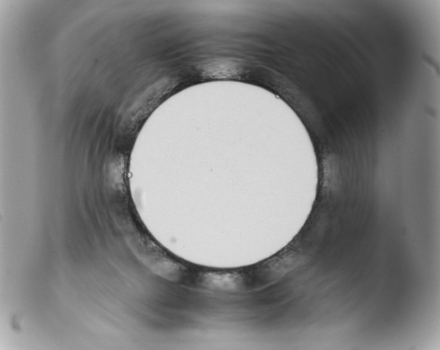 X0000103940073200810171824