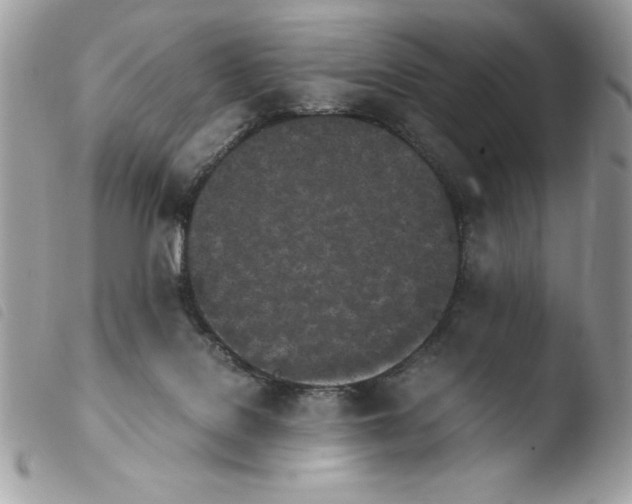 X0000103940076200810171824