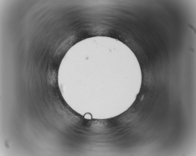 X0000103940077200810171824