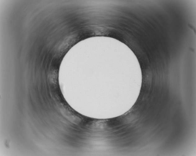 X0000103940078200810171824