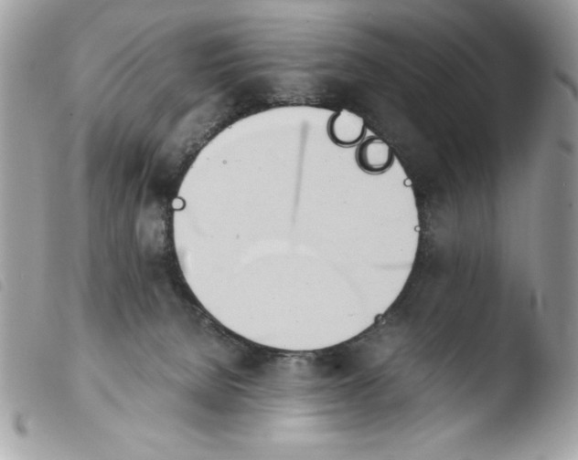 X0000103940080200810171824