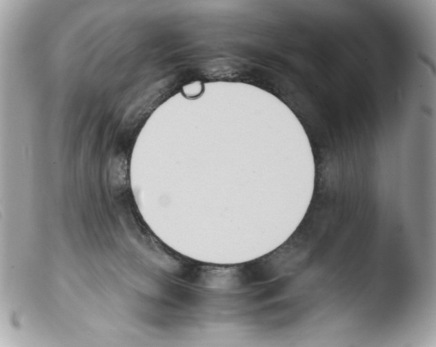 X0000103940081200810171824