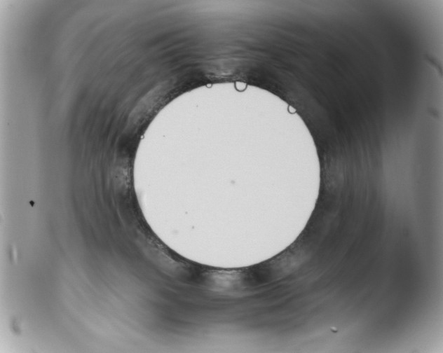 X0000103940085200810171825