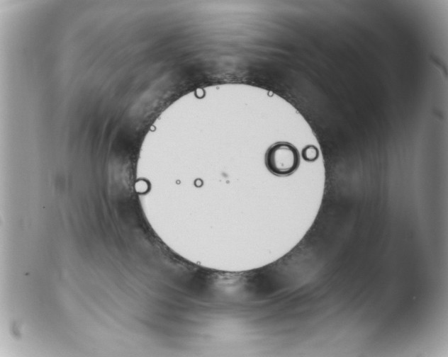 X0000103940088200810171825