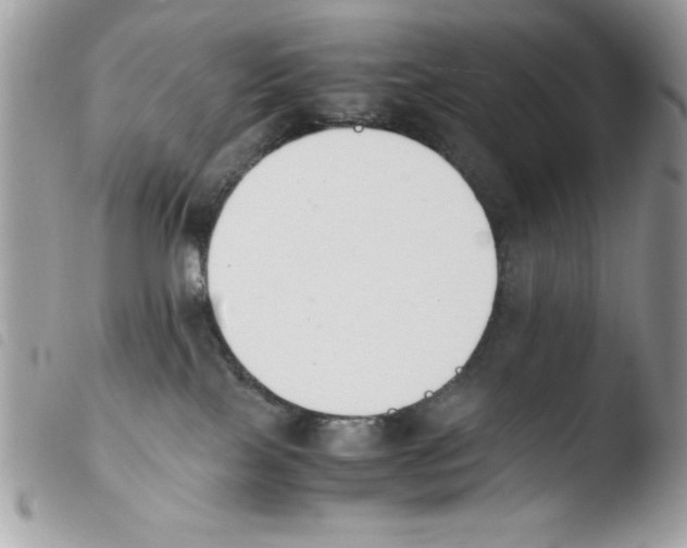 X0000103940089200810171825