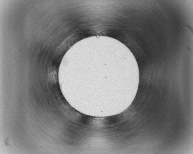 X0000103940090200810171825