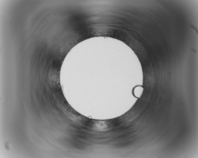 X0000103940091200810171825