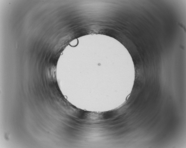 X0000103940094200810171825