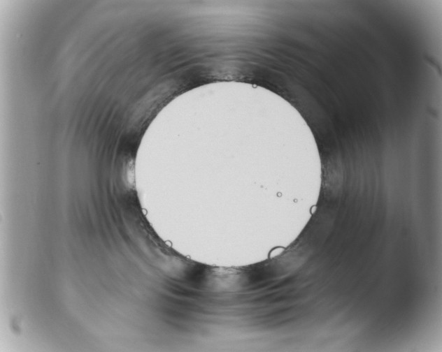 X0000103940095200810171825