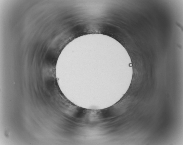 X0000103940096200810171825