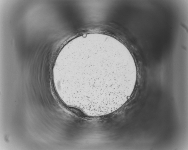 X0000103940097200810171824