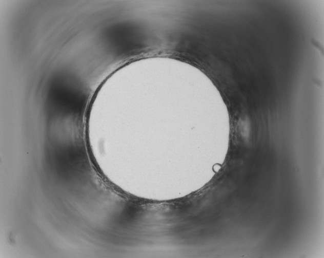 X0000103940100200810171824