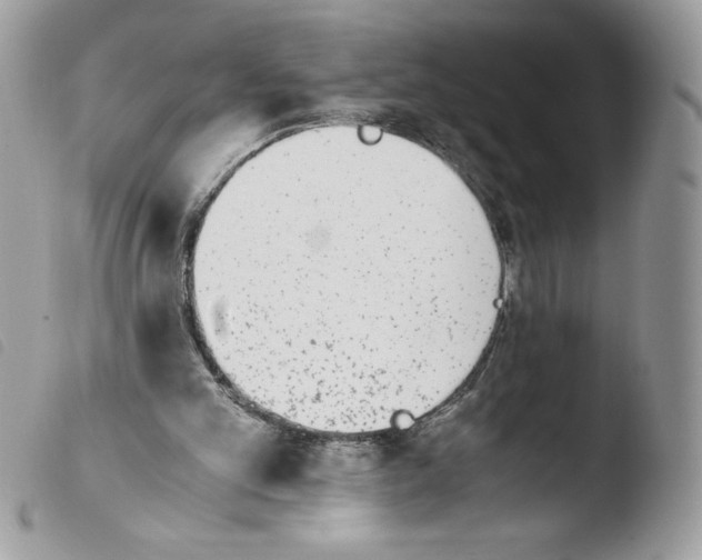 X0000103940101200810171824