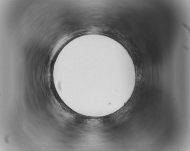 X0000103940102200810171824