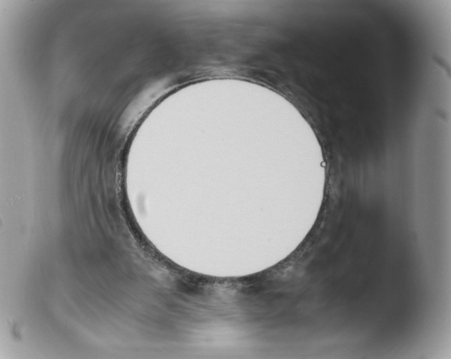 X0000103940103200810171824