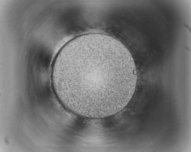 X0000103940104200810171824