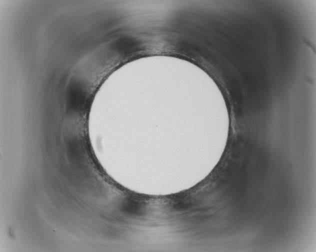 X0000103940105200810171824