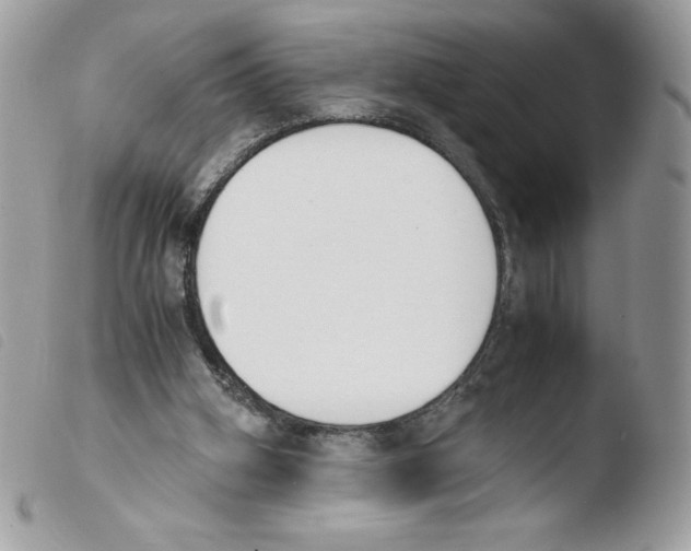 X0000103940106200810171824