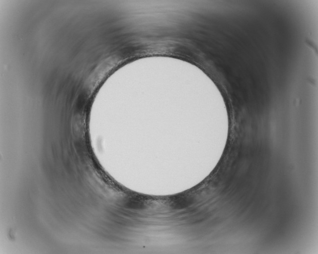 X0000103940107200810171824