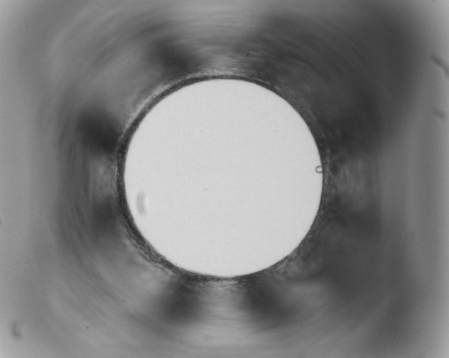 X0000103940108200810171824