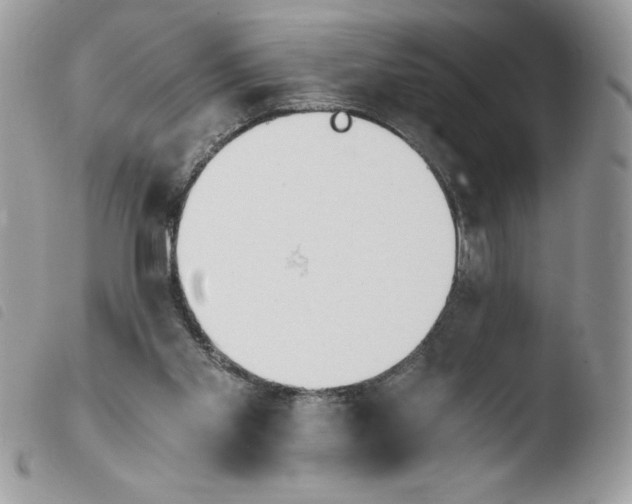 X0000103940109200810171824