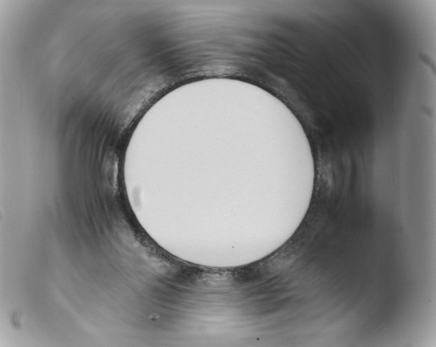 X0000103940110200810171824