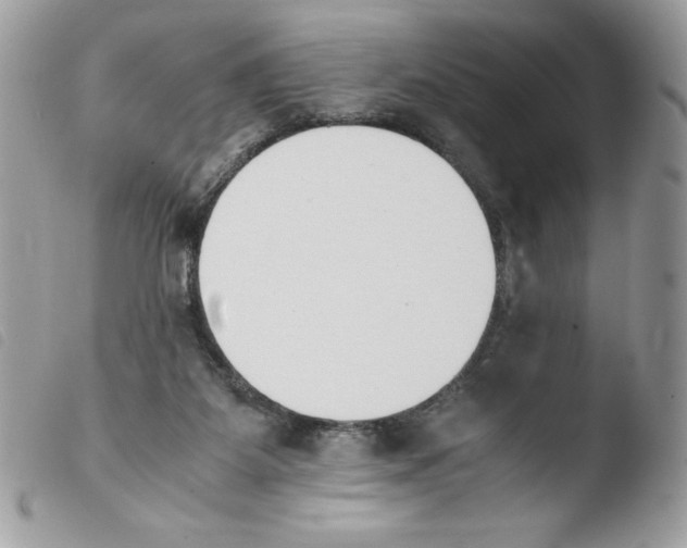 X0000103940115200810171824