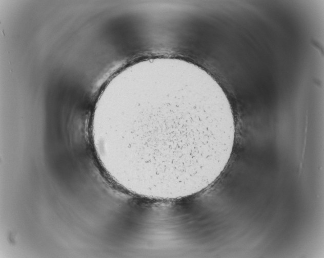 X0000103940116200810171824