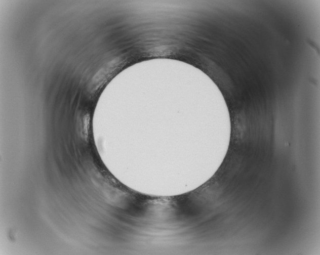 X0000103940118200810171824