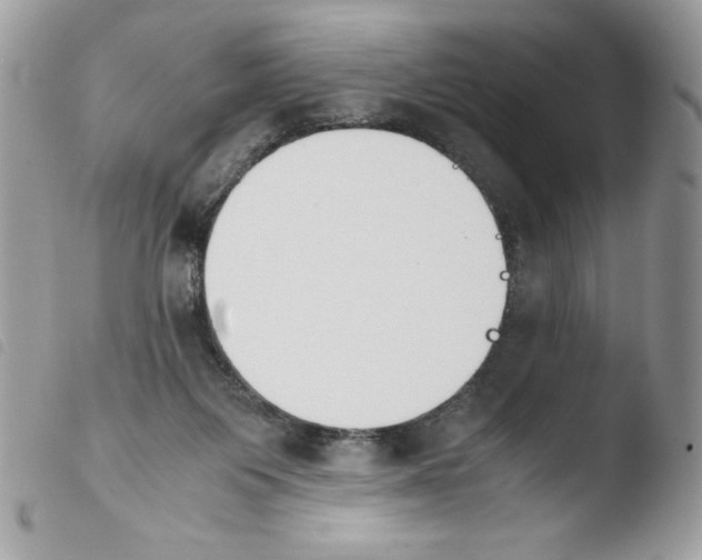 X0000103940119200810171824