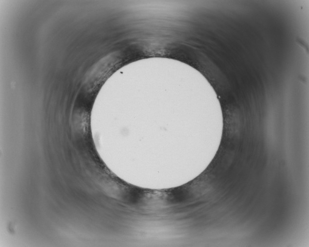 X0000103940125200810171824