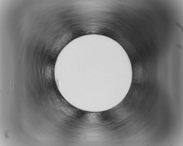 X0000103940126200810171824