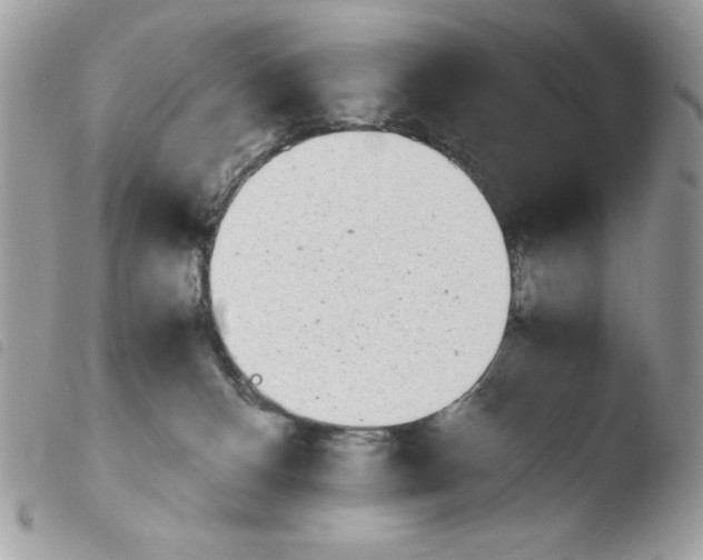 X0000103940128200810171824