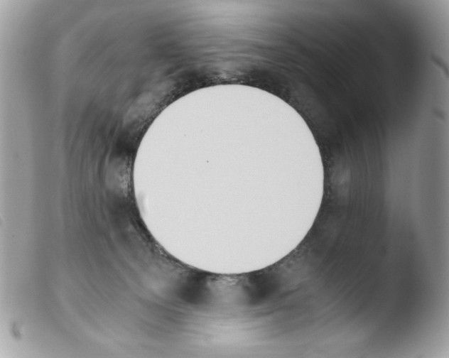 X0000103940129200810171824